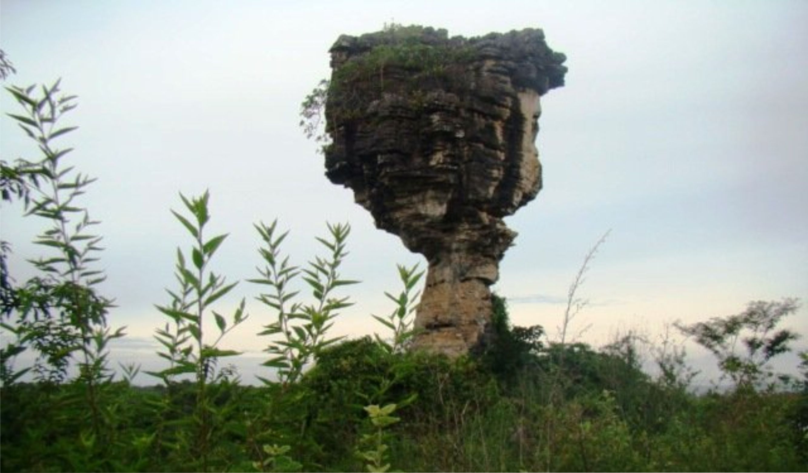 Reunião das Comissões inicia com debate sobre Audiência Pública